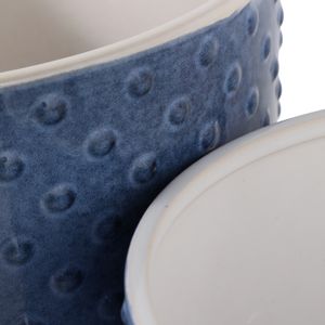 FIONAOAK SET OF 2 BLUE PLANTER 10 (IN) 7