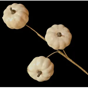 Short White Pumpkin Stem 2