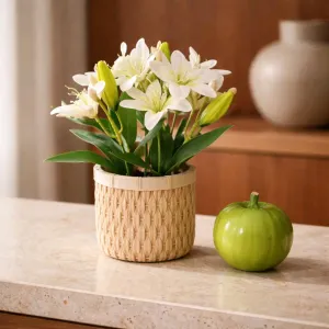 Grace in Bloom Pot 10in 1