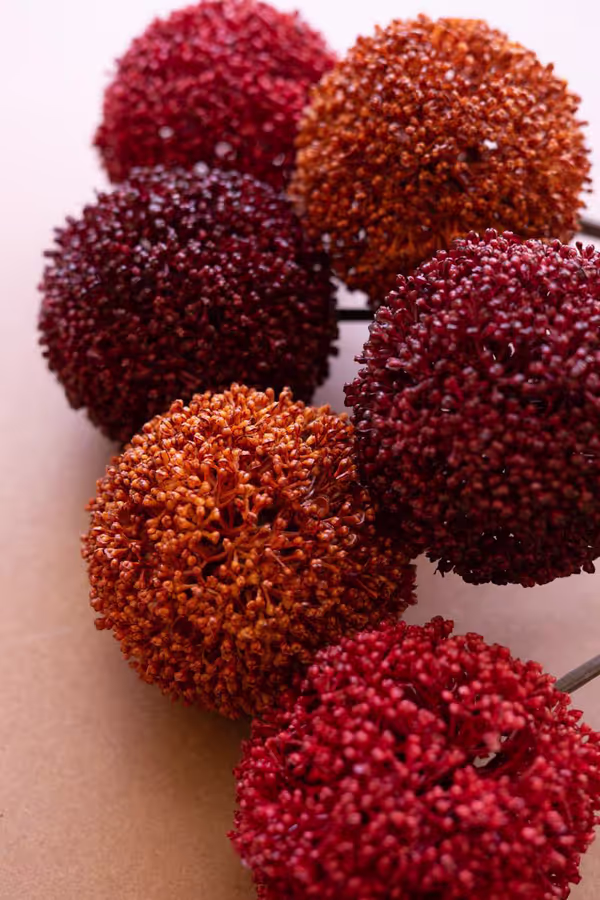 Artificial Set of 6 Allium Ball Stems