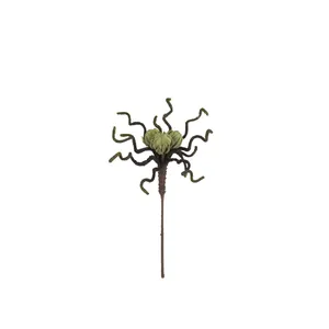Botanica #2841 2