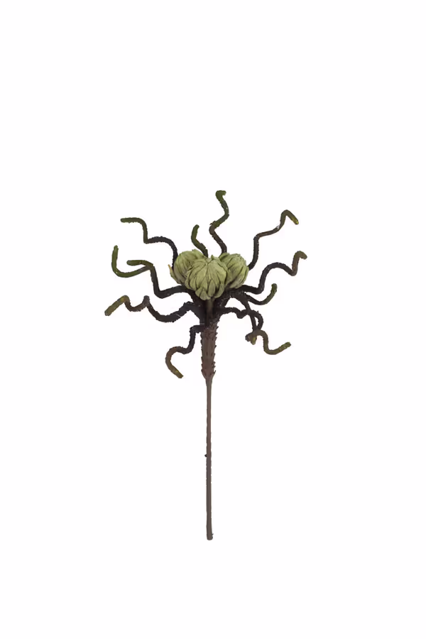Botanica #2841