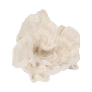 BRENDANSHAW IVORY DECOR 12 (IN) 7