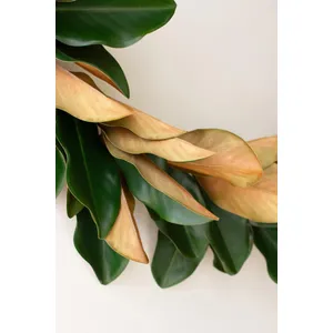 Artificial Magnolia Leaf Garland 4