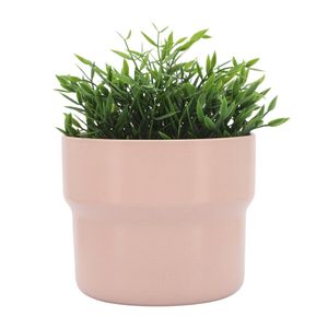 CORWINPORT SET OF 3 PINK PLANTER 9 (IN) 3