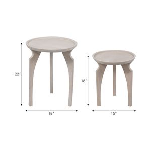 DENVERWELL SET OF 2 WHITE TABLE 22 (IN) 8