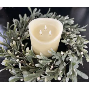 Frosted Berry 20in Wreath 1
