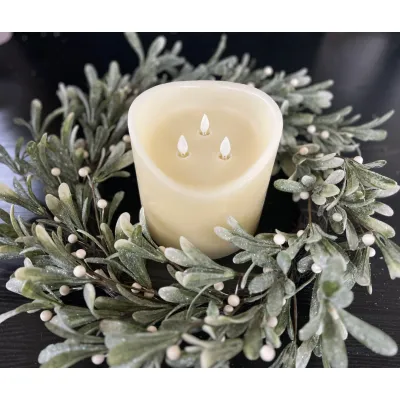 Frosted Berry 20in Wreath