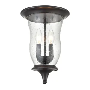 Trinity 9'' Wide 2-Light Outdoor Flush Mount - Oil Rubbed Bronze 1