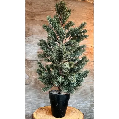 Large Frosted Spruce Tree 20in