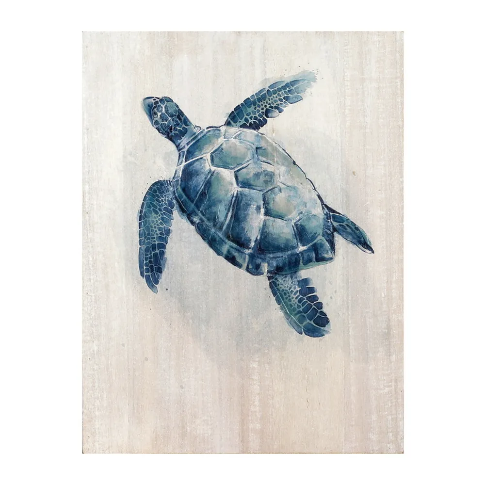 15-3/4" TURTLE FRAMED ART