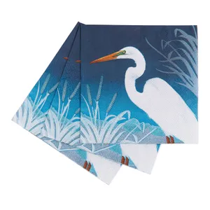Night Egret