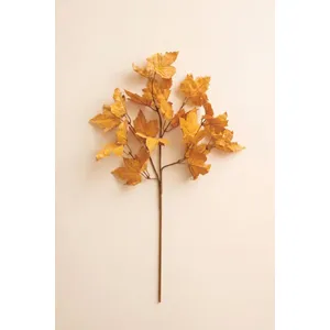 Botanica #9080 3