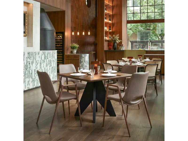 Desi Dining Chair Brown & Walnut 8