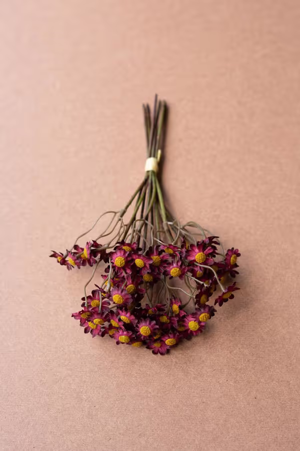 Faux Chamomile Bundle / Burgandy