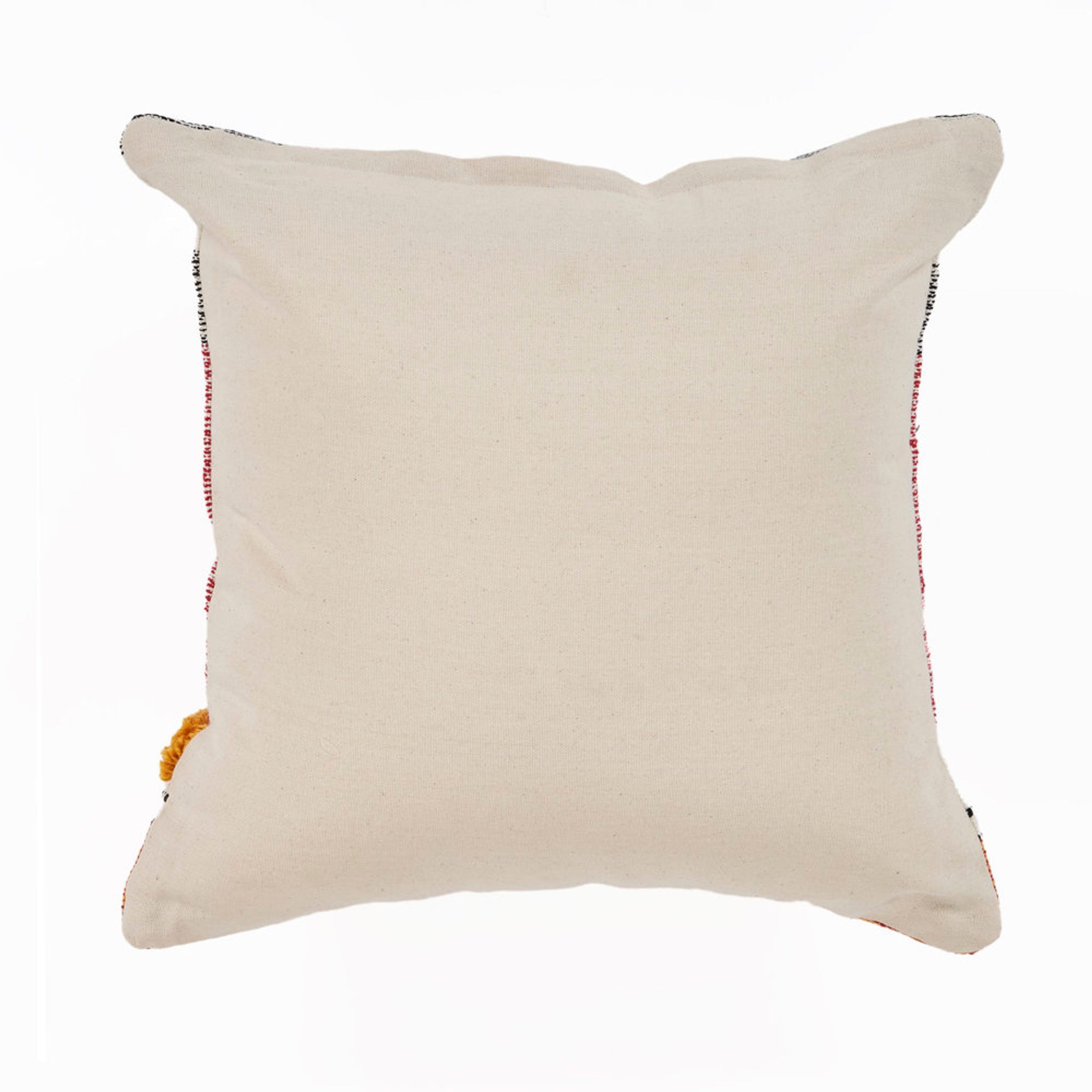 Davon Appliqued Cotton Throw Pillow