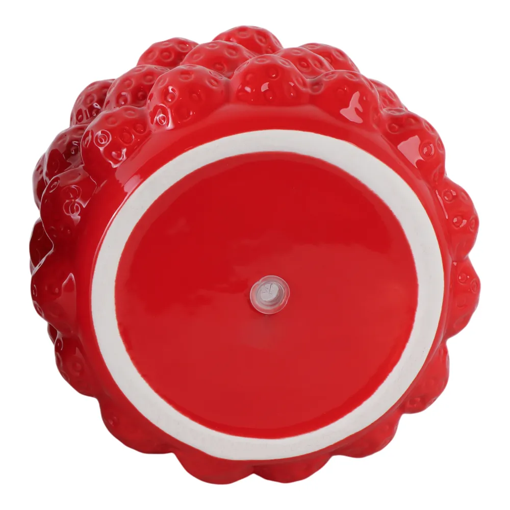 CALWIND RED PLANTER 5 (IN)