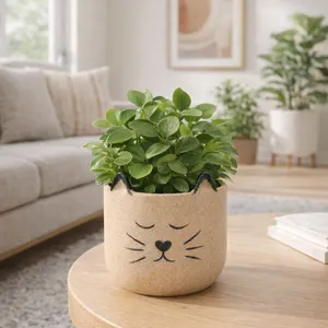 TUCKERCREST TAN PLANTER 7 (IN) 12