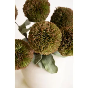 Botanica #3620 3