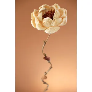 Set of 12 Cornhusk Botanicals on a Bamboo Stem / Magnolia 3