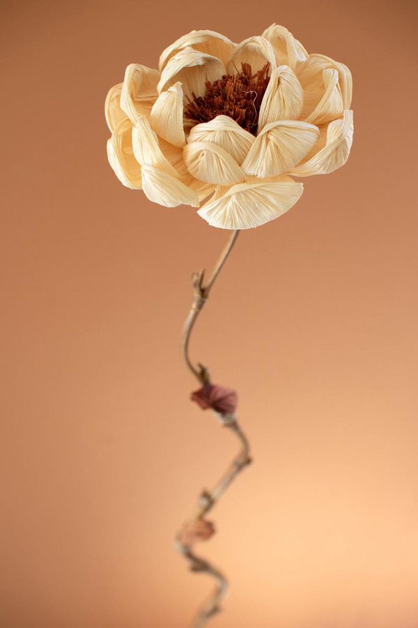 Set of 12 Cornhusk Botanicals on a Bamboo Stem / Magnolia
