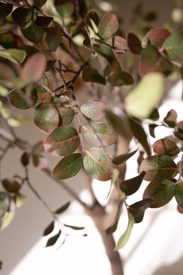Artificial Crepe Myrtle Tree in a Black Plastic Pot