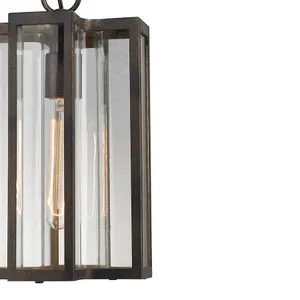 Bianca 8'' Wide 1-Light Outdoor Pendant - Hazelnut Bronze 4