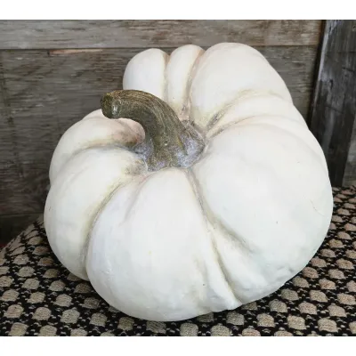 Fairytale Pumpkin