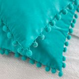 Tassels Reversible Throw Pillow 2