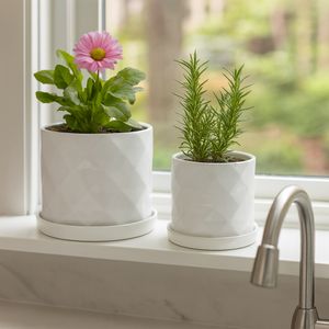 HEWITTROSE SET OF 2 WHITE PLANTER 11 (IN) 11