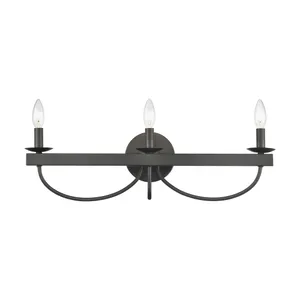 Williamson 24″ Wide 3-Light Vanity Light - Black 2