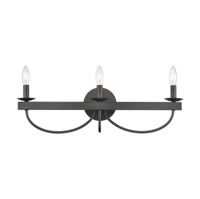 Williamson 24″ Wide 3-Light Vanity Light - Black