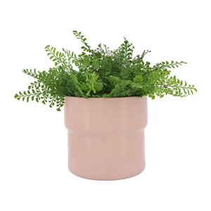 CORWINPORT SET OF 3 PINK PLANTER 9 (IN) 4