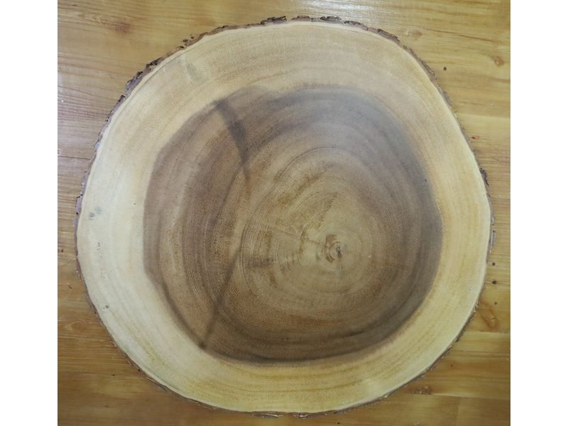 16" Natural Wood Slice 1