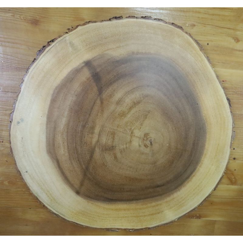 16" Natural Wood Slice
