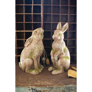 Faux Concrete Rabbit with Head Up 3
