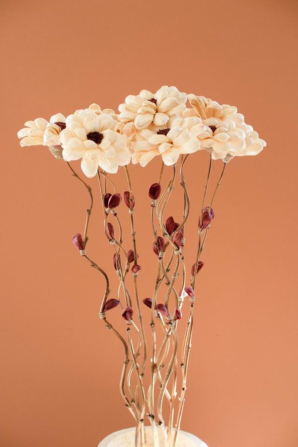 Set of 12 Cornhusk Botanicals on a Bamboo Stem / Camilia