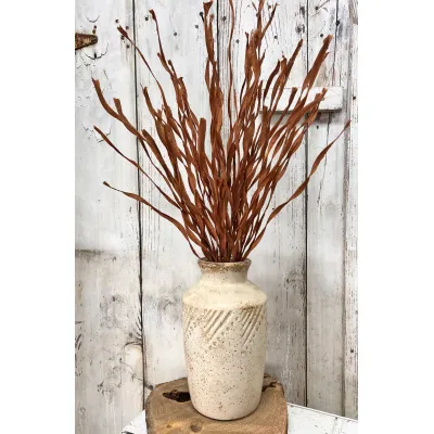 Brown Fall Grass Pick