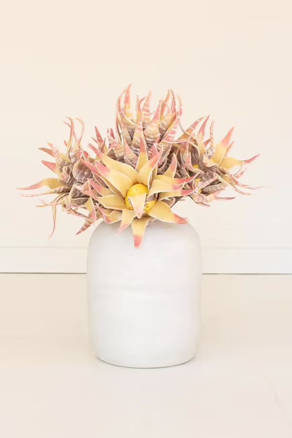 botanica #2855