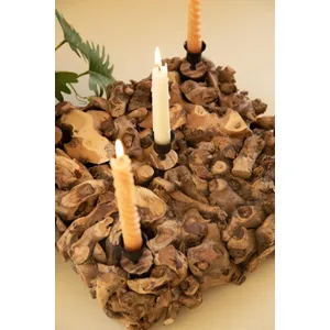 Mulberry Root Candelabra 3