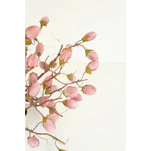 Botanica #3572 3