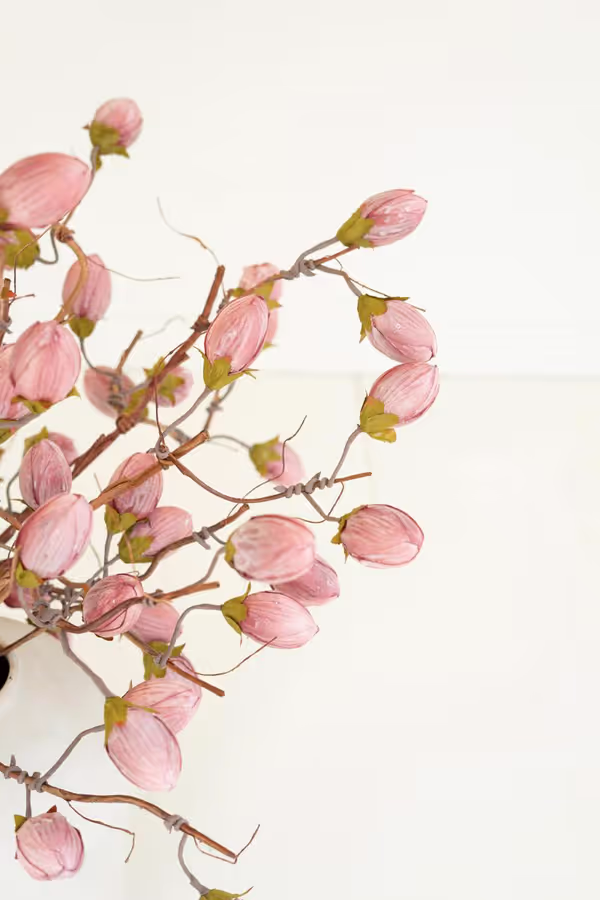 Botanica #3572