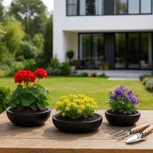 SHAYHOLM SET OF 3 BLACK PLANTER 6 (IN) 2