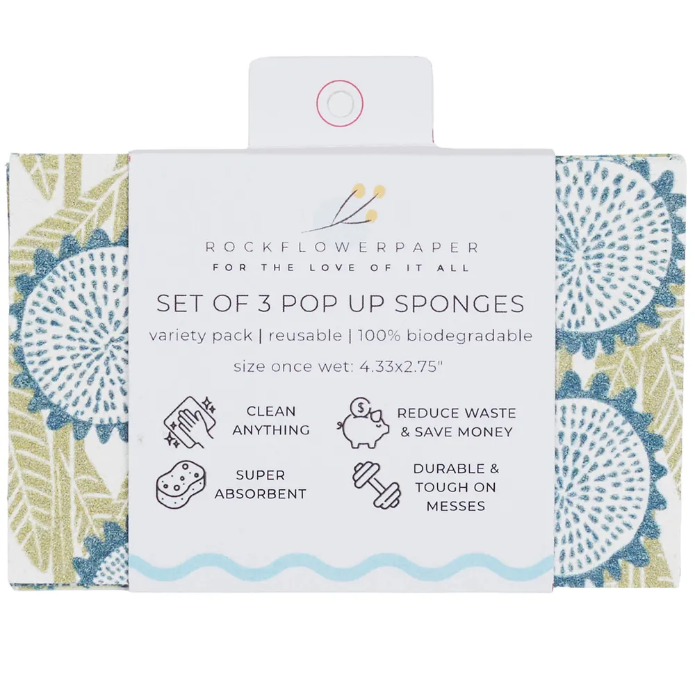 Wynn Pop-Up Sponge Set 3