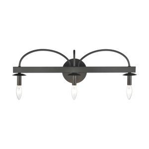 Williamson 24'' Wide 3-Light Vanity Light - Black 3