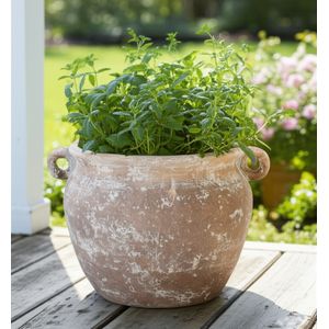 FENTONLAND IVORY PLANTER 8 (IN) 12