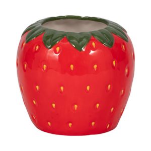 FINCHMOOR RED PLANTER 6 (IN) 1