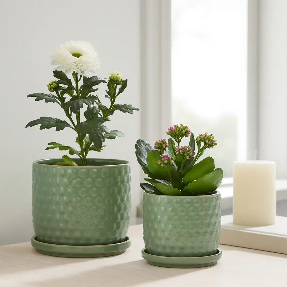 WINTONLAND SET OF 2 GREEN PLANTER 9 (IN)