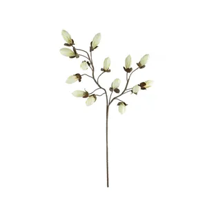 Botanica #2716 4