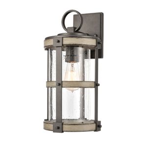 Annenberg 16'' High 1-Light Outdoor Sconce - Anvil Iron 1